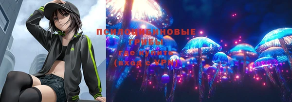 метадон Алексин
