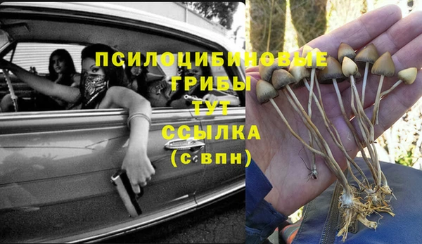 метадон Алексин