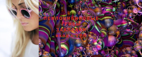 метадон Алексин