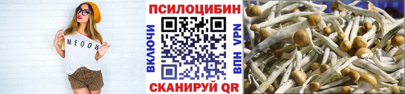 Галлюциногенные грибы Magic Shrooms  даркнет сайт  Ардон 